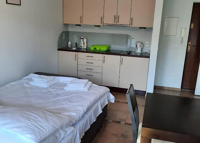 Dzika Plaza 아파트 *